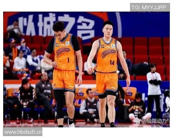 CBA季后赛关键对决分析及各队胜负形势深度剖析 CBA季后赛关键对决分析及各队胜负形势深度剖析