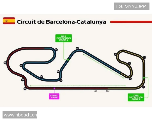 F1赛季赛道适应策略及车队表现评析